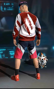 Hijacket mask